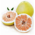 High Quality Sweet Fresh Citrus Grapefruit Honey Golden Pomelo